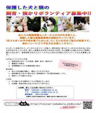 犬・猫の里親を探すボランティア