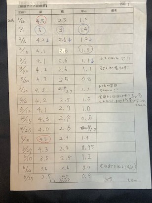 鍼灸治療をし始めた頃の記録