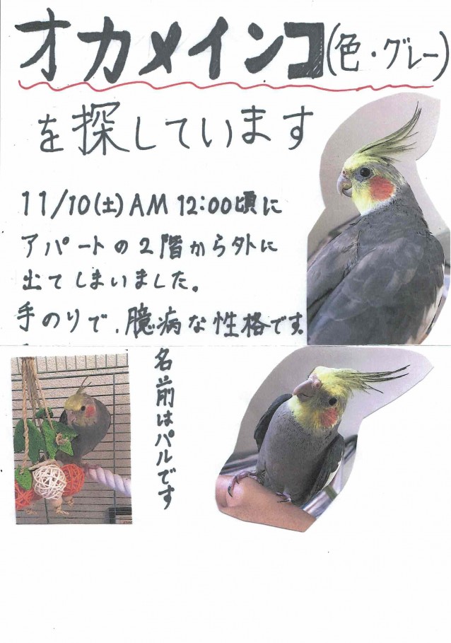 18111301