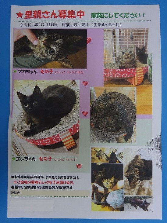 DSC04250