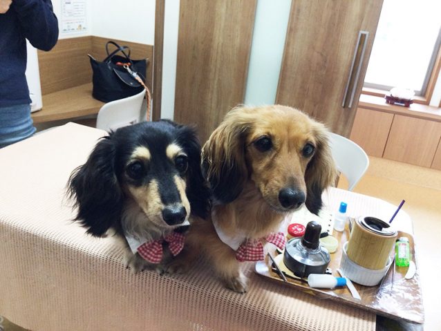 ポムちゃんとペシュちゃん