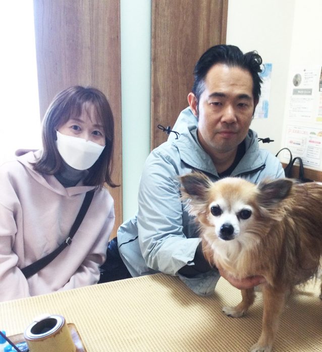 チワワのポノちゃん