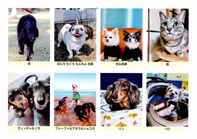 「ともnet」さんのカレンダー