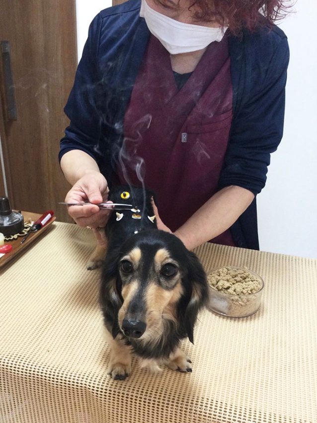 RUMY(ルミィ)ちゃん