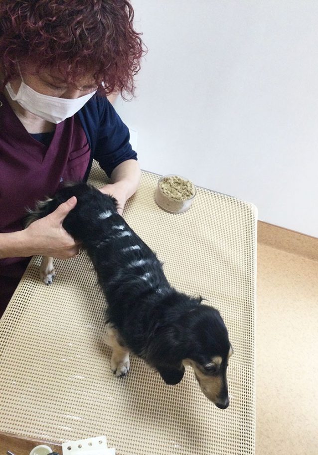 RUMY(ルミィ)ちゃん