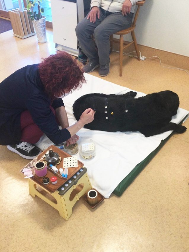 アンリーちゃん