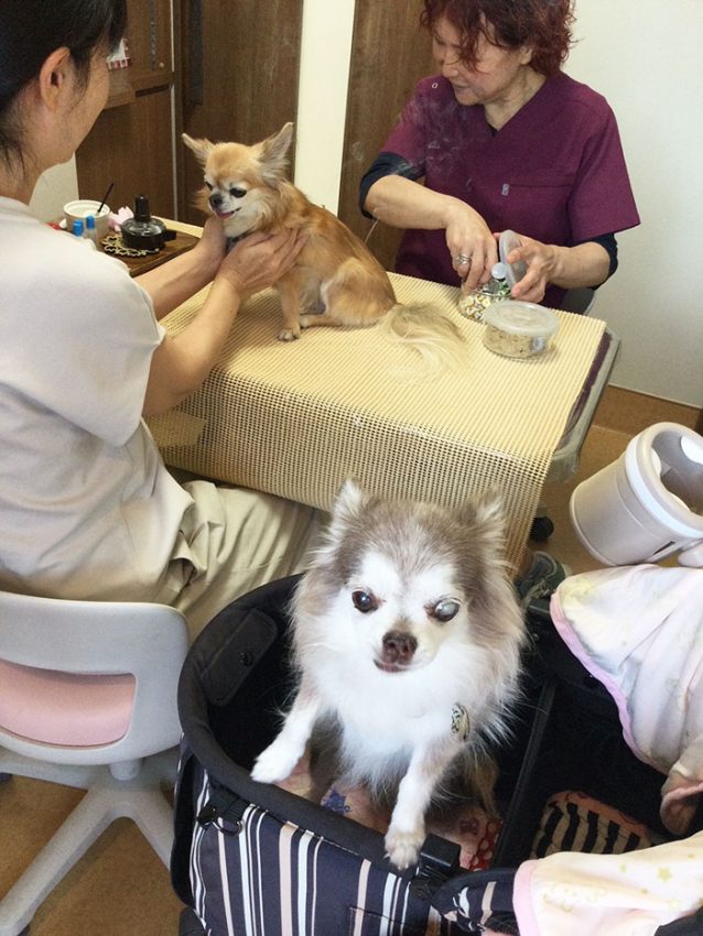 「ゆずちゃん」「みかんちゃん」