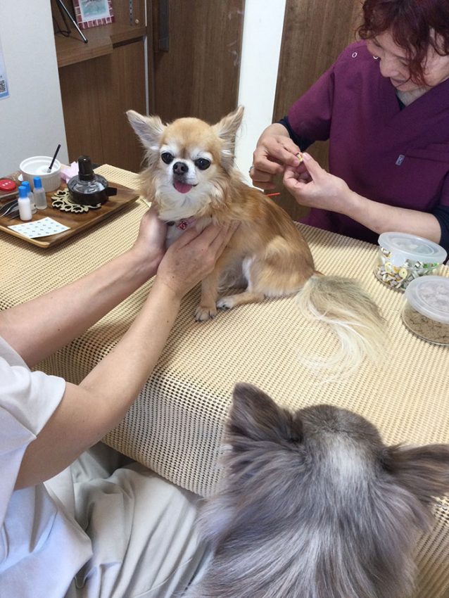 「ゆずちゃん」「みかんちゃん」