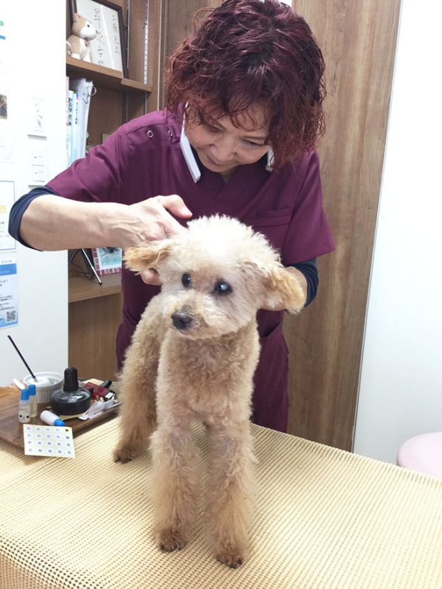 虎太郎ちゃん