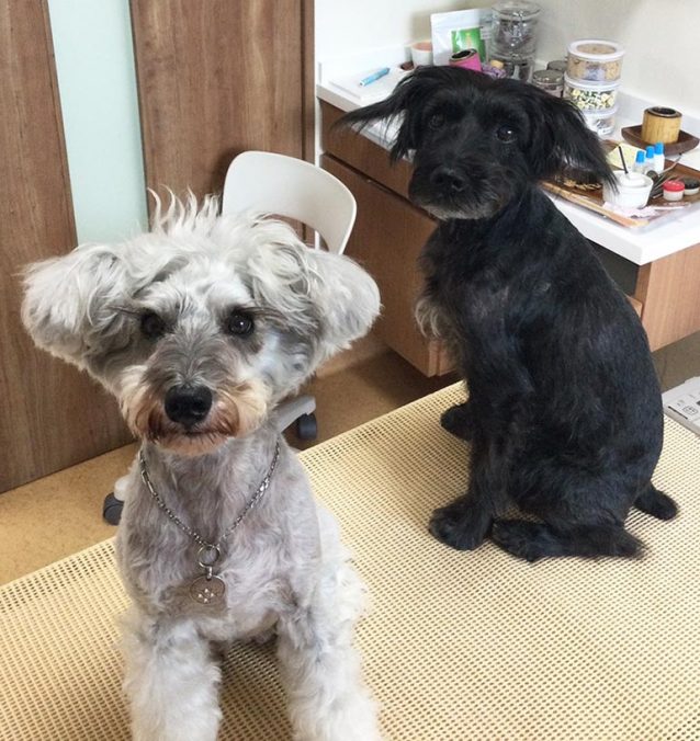 凛くんと花ちゃん